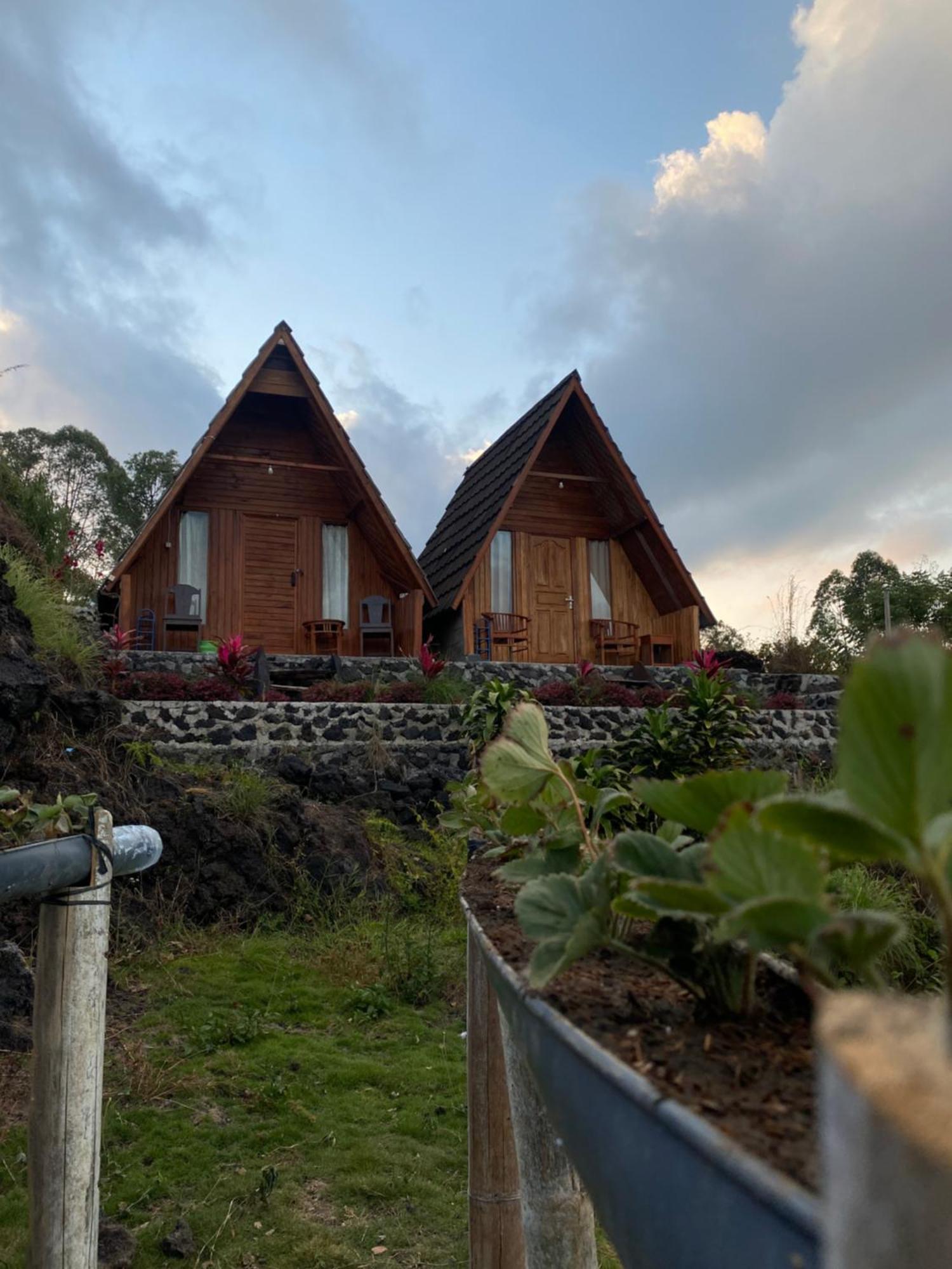 D' Tepi Danau Glamping Hotel Kintamani Екстериор снимка